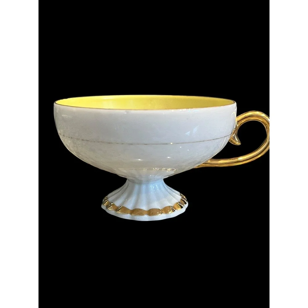 Vintage Footed Teacup and Saucer Set Fruit Still Life Porcelain 2pc Japan